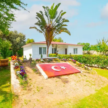 La Cactus Boutique Bed & Breakfast